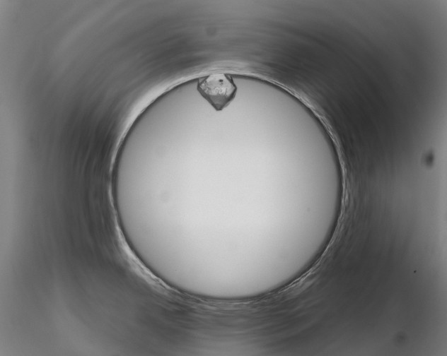 X0000115701342200912031456