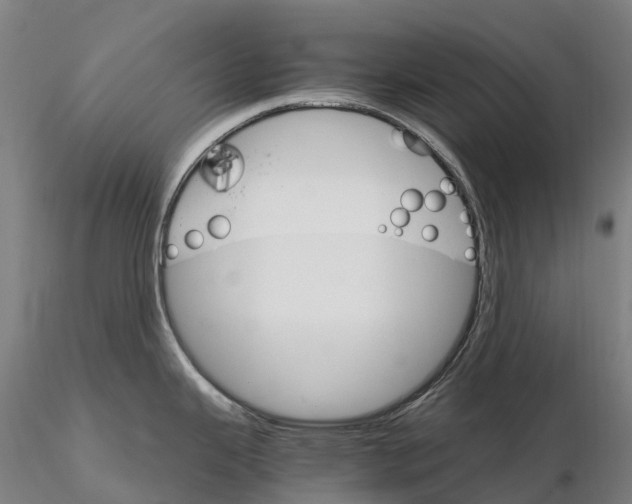 X0000115701343200912031456