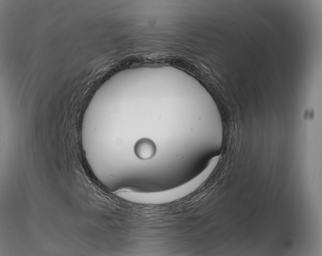 X0000115701345200912031456