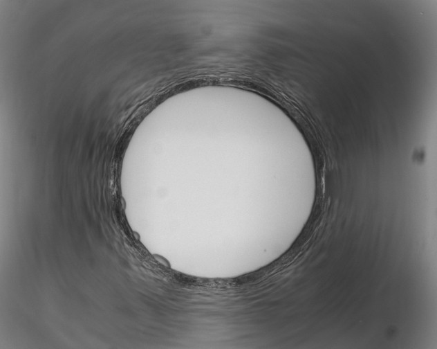 X0000115701347200912031456