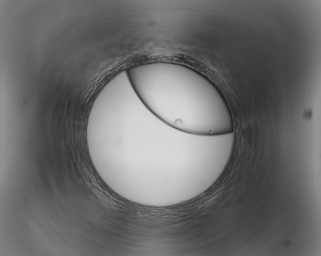 X0000115701348200912031456