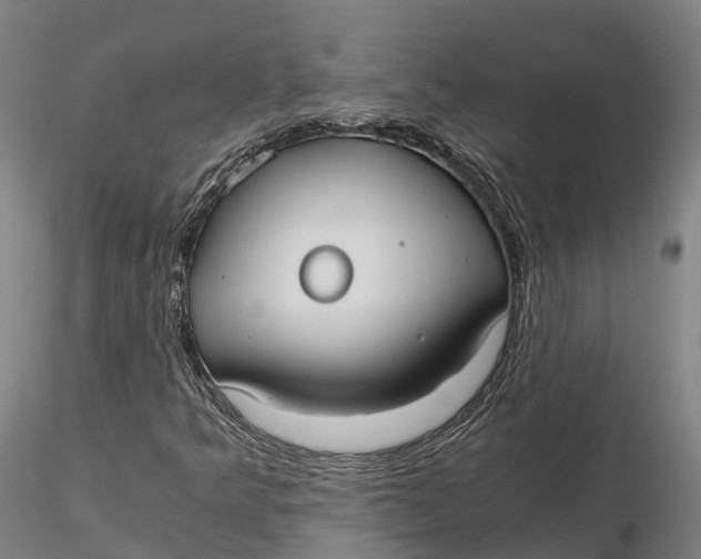 X0000115701349200912031456