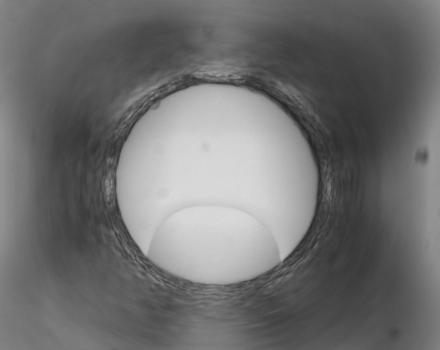 X0000115701350200912031456