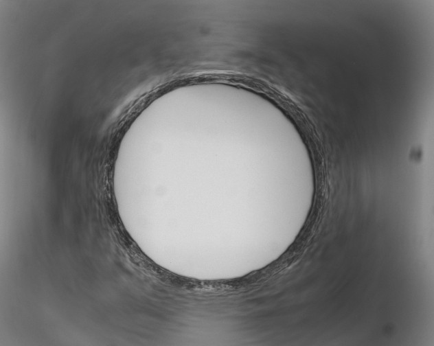 X0000115701351200912031456