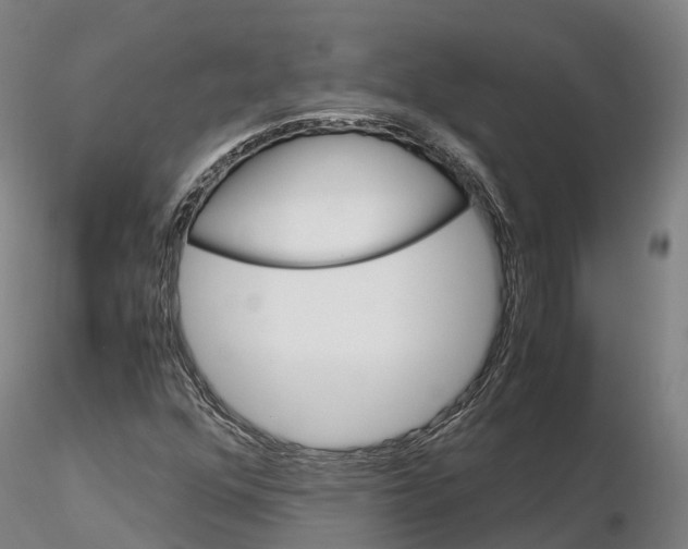 X0000115701352200912031456