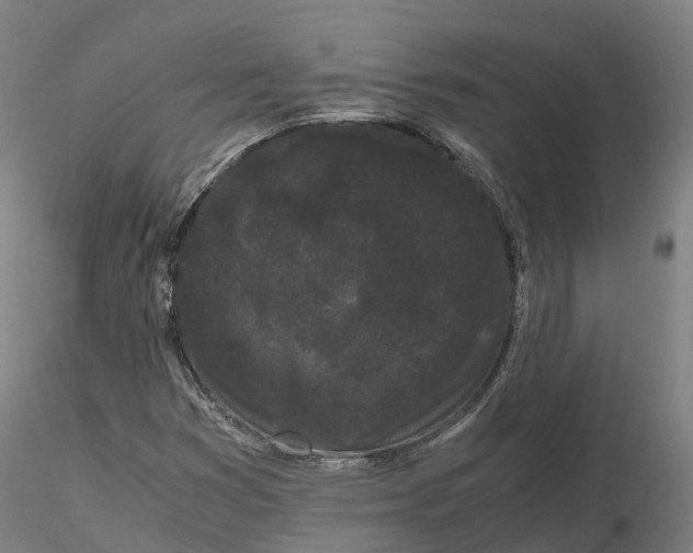 X0000115701353200912031456