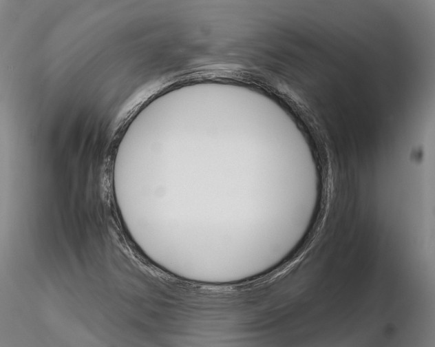 X0000115701354200912031456