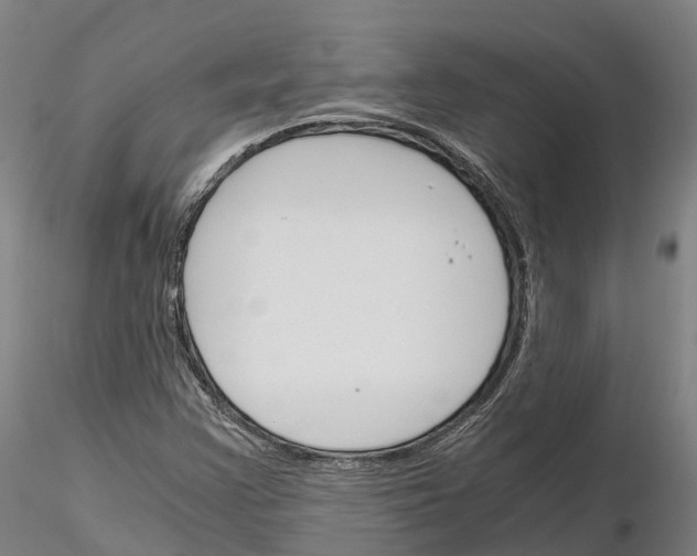 X0000115701355200912031456