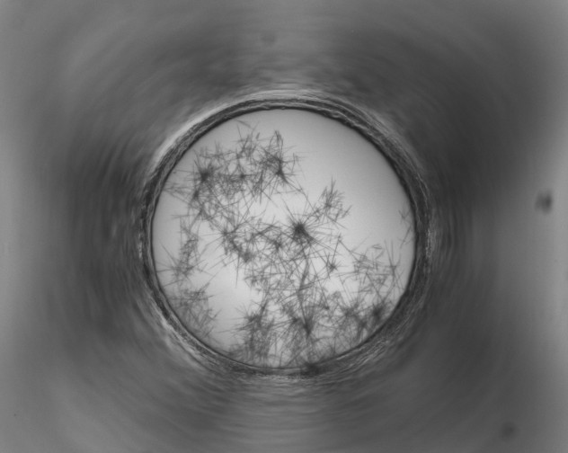 X0000115701356200912031456