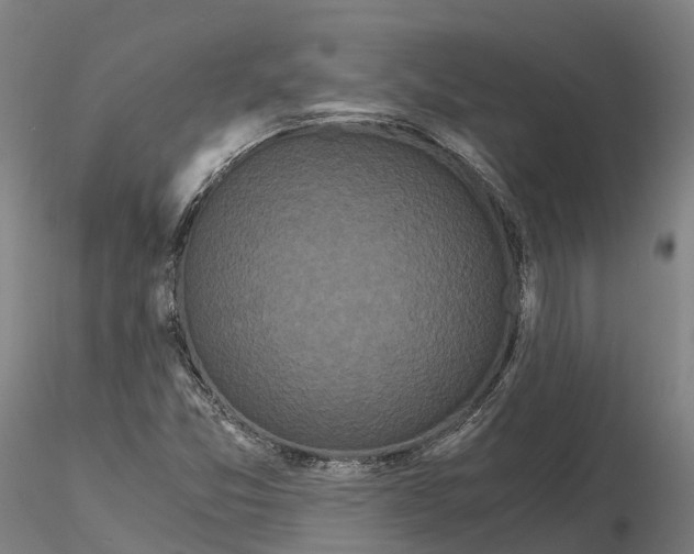 X0000115701357200912031456