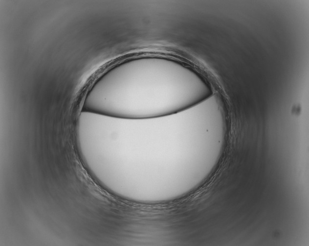 X0000115701360200912031456