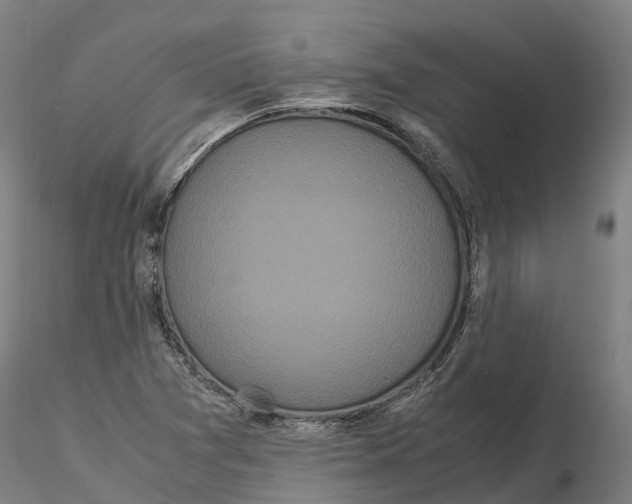 X0000115701361200912031456