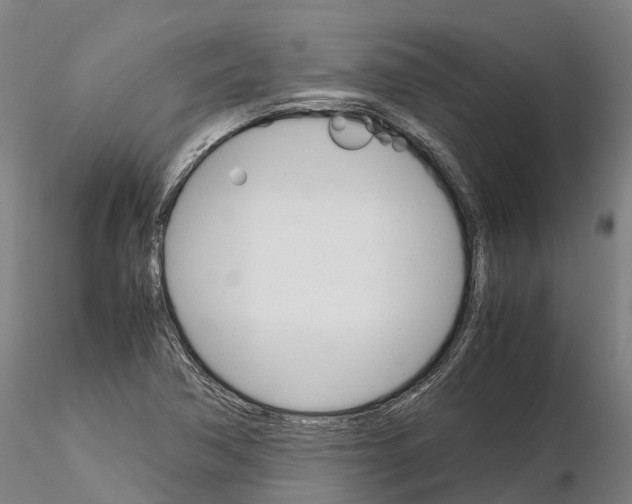 X0000115701362200912031456