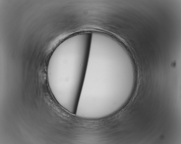 X0000115701363200912031456