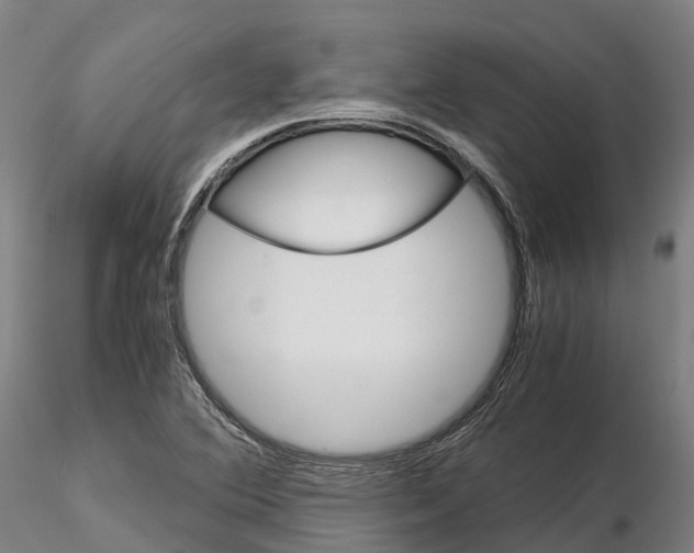 X0000115701364200912031456