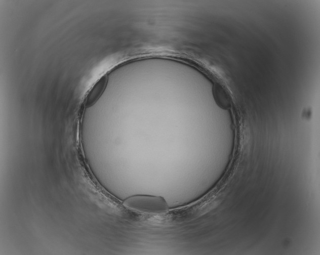 X0000115701365200912031456