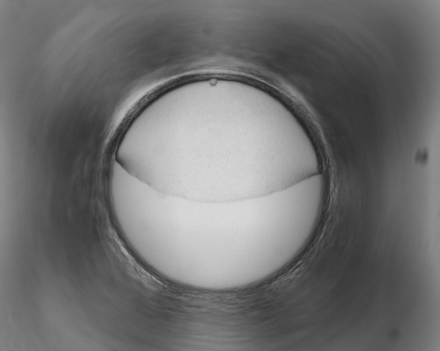 X0000115701368200912031455