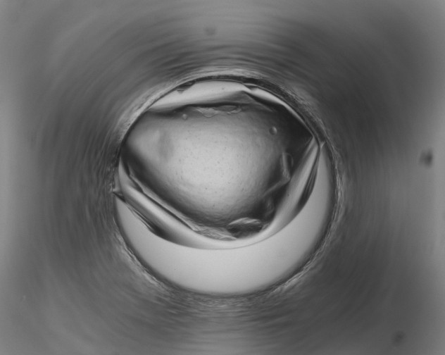 X0000115701369200912031455