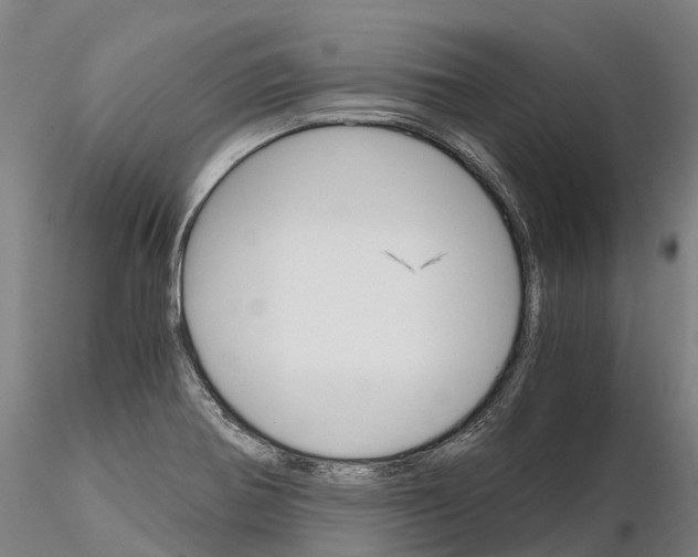 X0000115701370200912031455