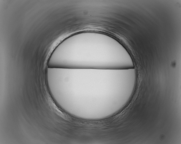 X0000115701371200912031455