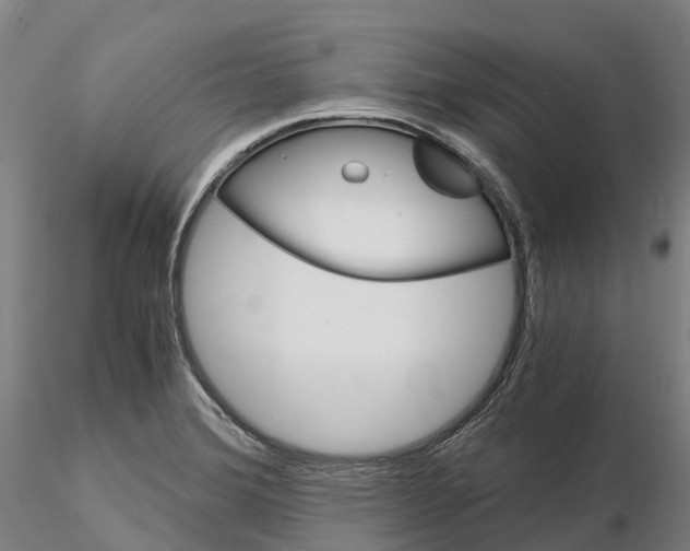 X0000115701372200912031455