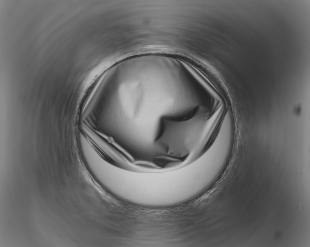 X0000115701373200912031455