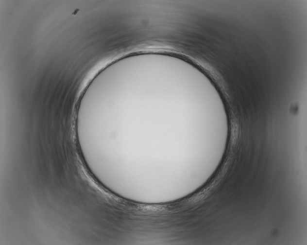 X0000115701374200912031455