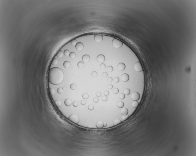 X0000115701375200912031455