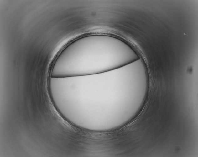 X0000115701376200912031455