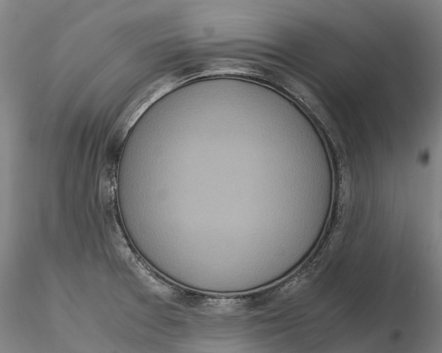 X0000115701377200912031455