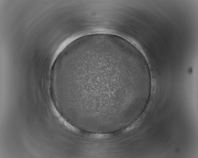 X0000115701381200912031455