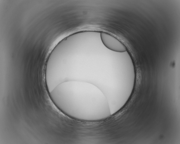 X0000115701382200912031455