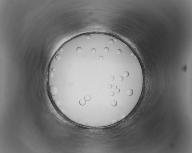 X0000115701383200912031455