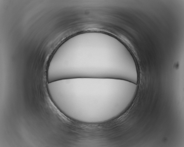 X0000115701384200912031455