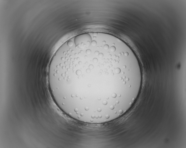 X0000115701386200912031455