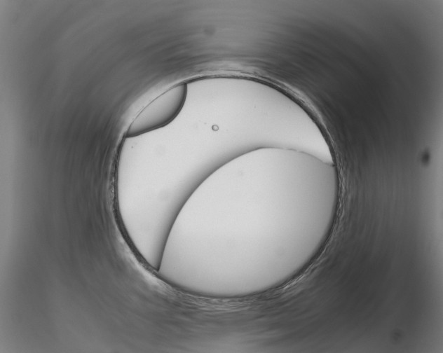 X0000115701387200912031455