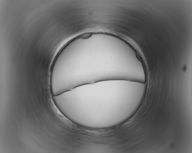 X0000115701388200912031455