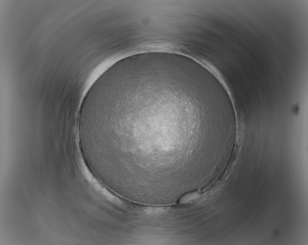 X0000115701389200912031455