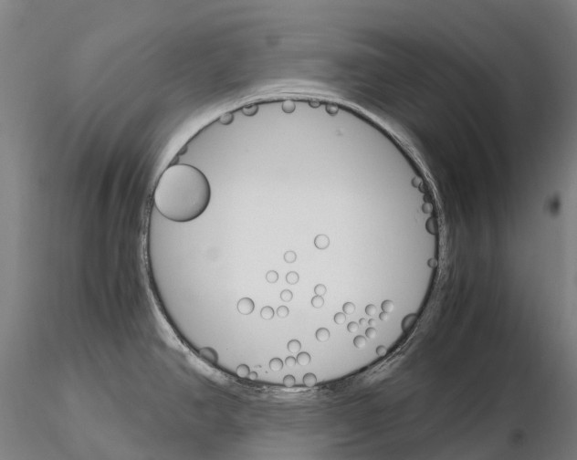 X0000115701390200912031455