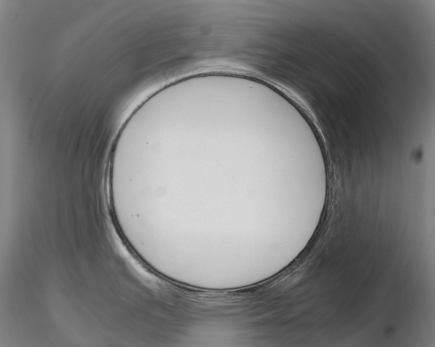 X0000115701391200912031455