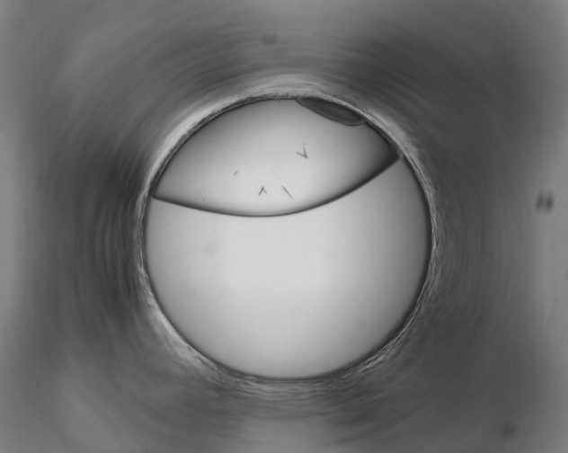 X0000115701392200912031455