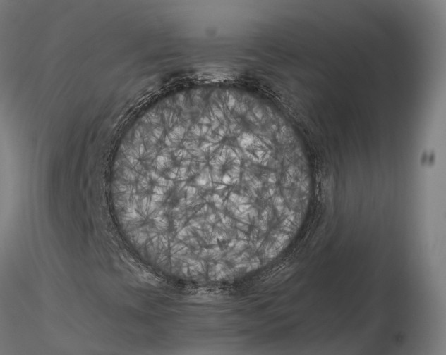 X0000115701393200912031454