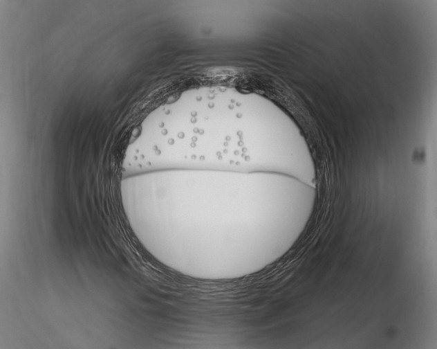 X0000115701394200912031454