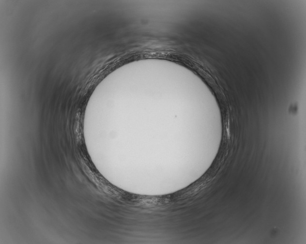 X0000115701396200912031455