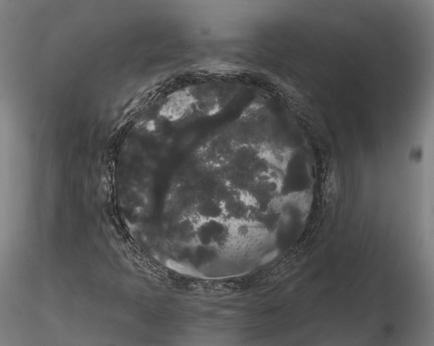 X0000115701397200912031455