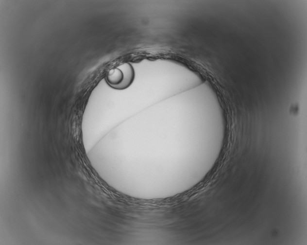 X0000115701398200912031455