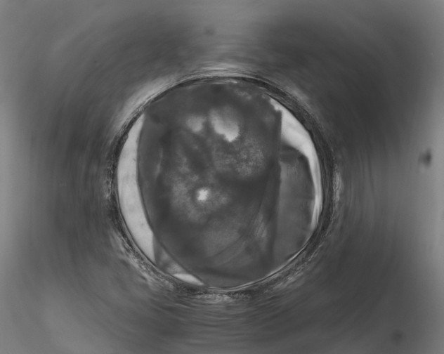 X0000115701405200912031455