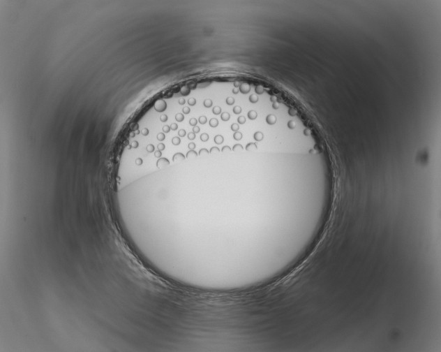 X0000115701410200912031455