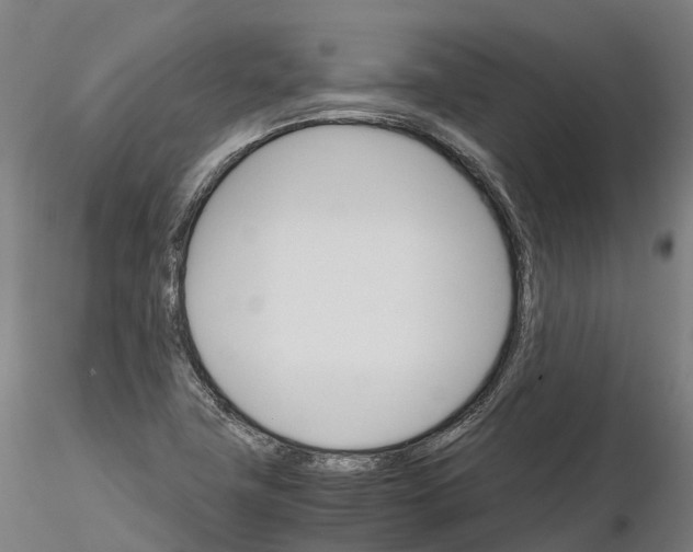 X0000115701411200912031455