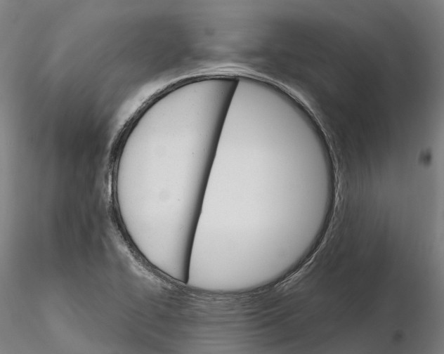 X0000115701414200912031455